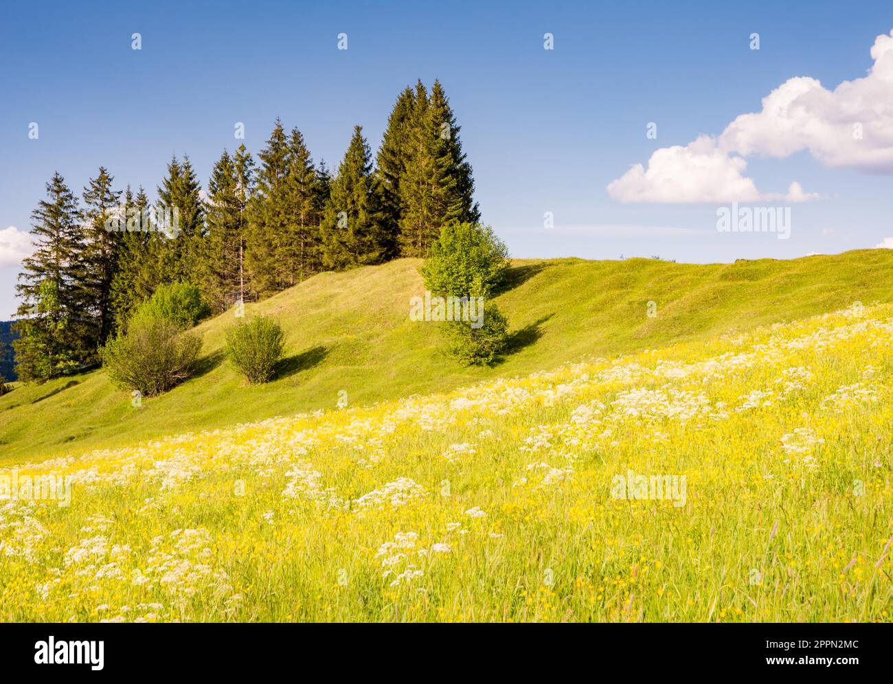 Meadow hill hi-res stock photography and images - Alamy