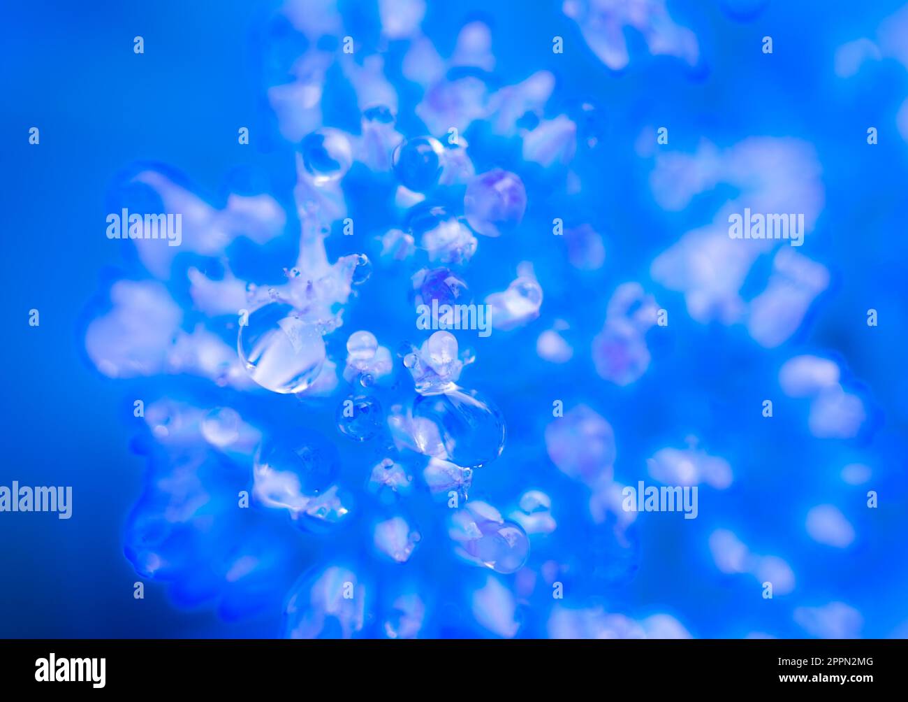 Abstract macro background with water drops Stock Photo