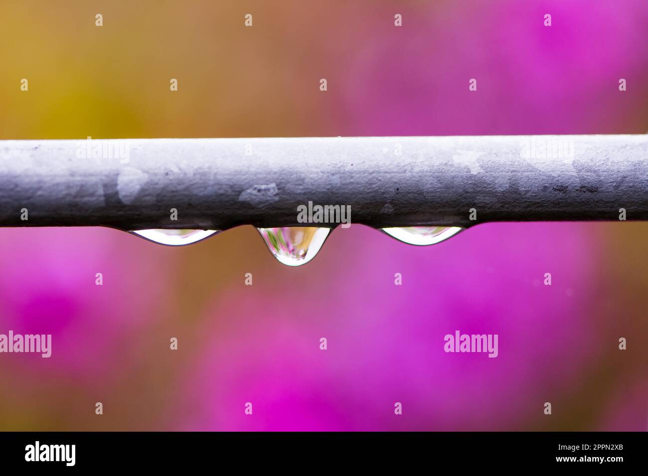 Macro of raindrops on an iron bar Stock Photo