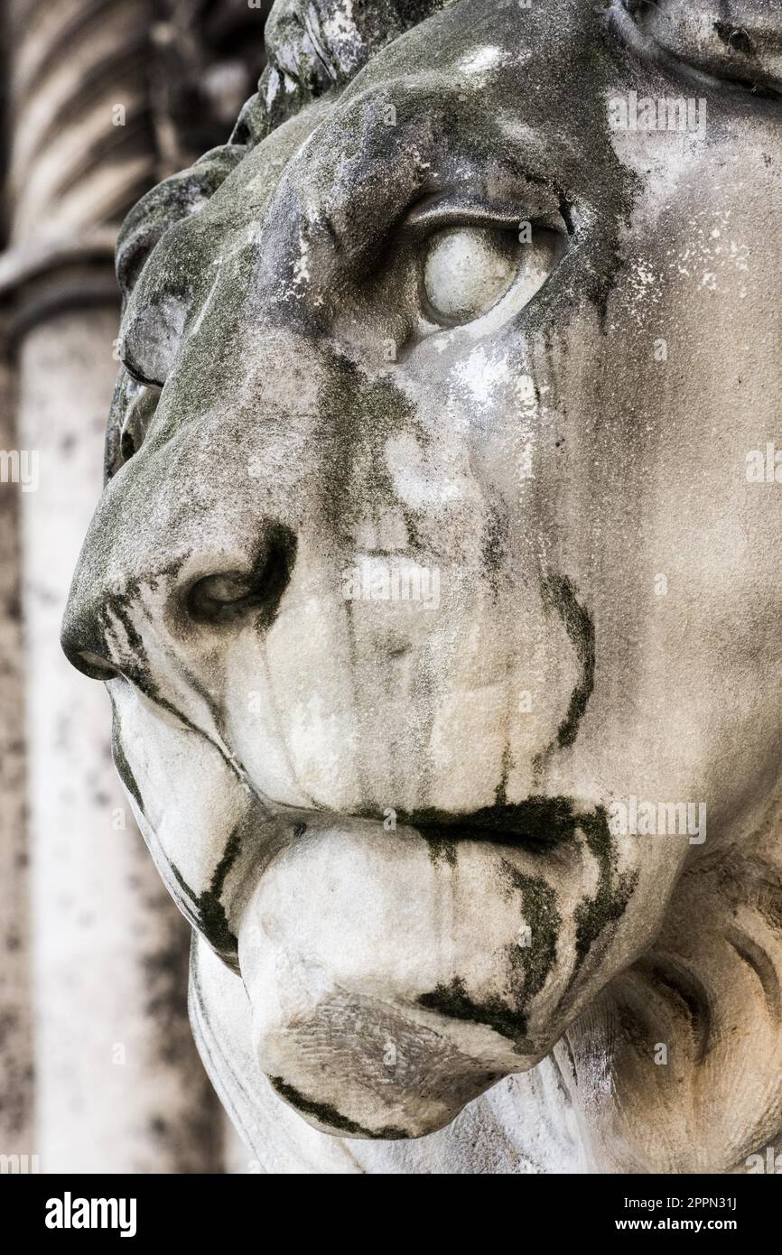 Lion sculpture at the Feldherrnhalle (Field Marshall's Hall), built ...