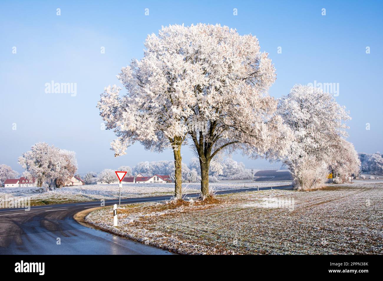 Country road in a winter landscape with frosted trees (Bavaria ...