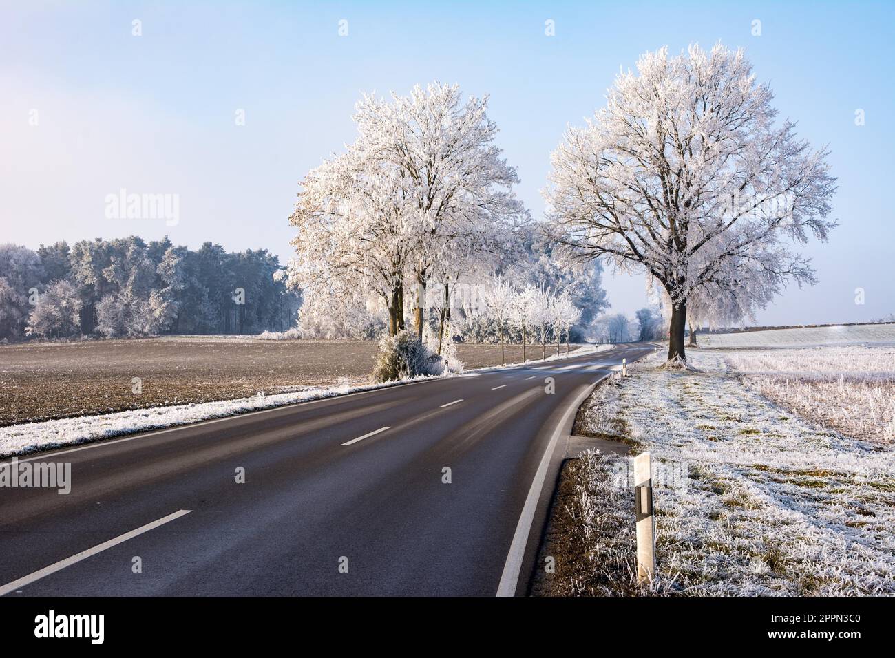 Country road in a winter landscape with frosted trees (Bavaria ...