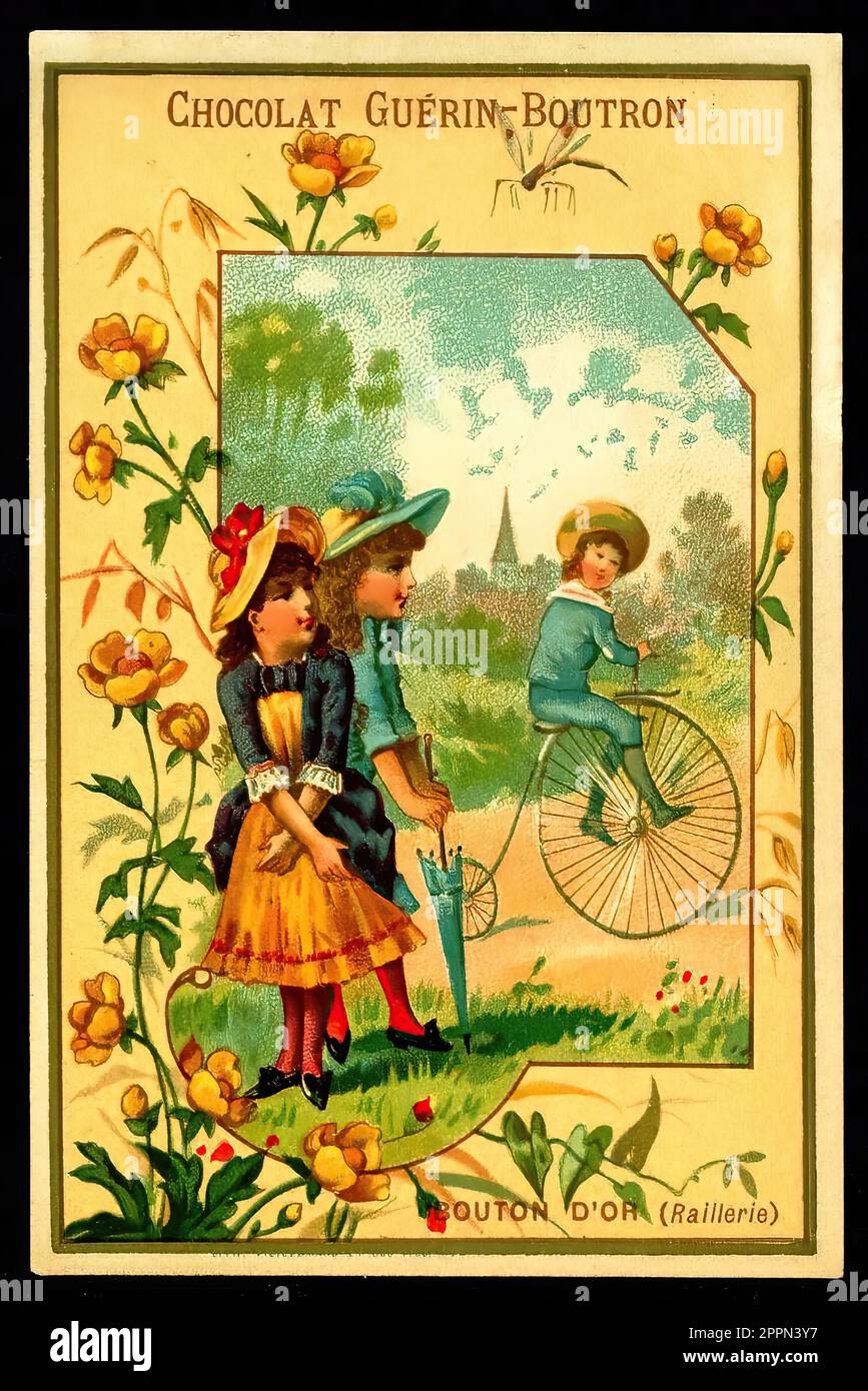 Language of Flowers Buttercup Vintage French Tradecard Belle Epoque Era Stock Photo Alamy