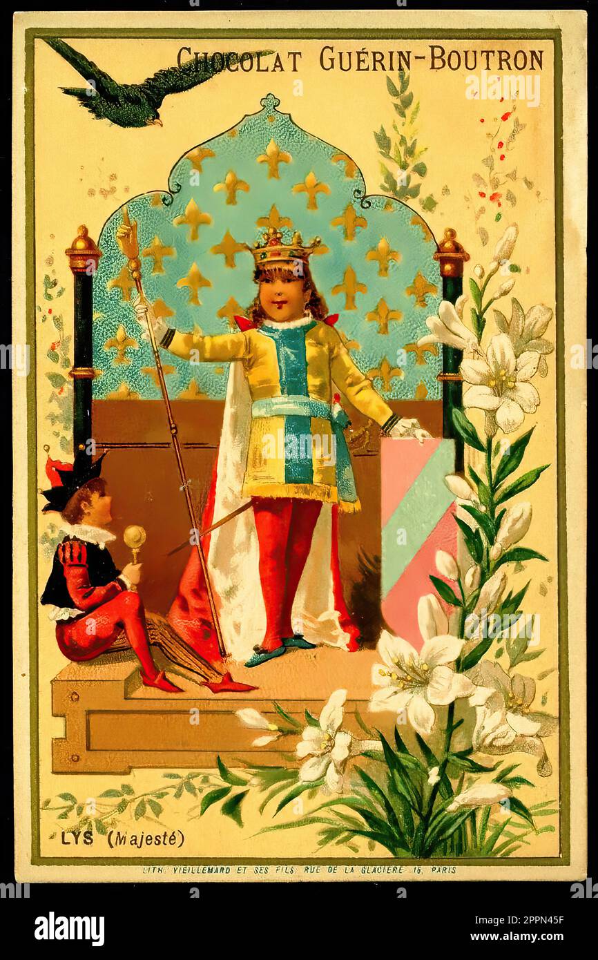 Language of Flowers Lily Vintage French Tradecard Belle Epoque