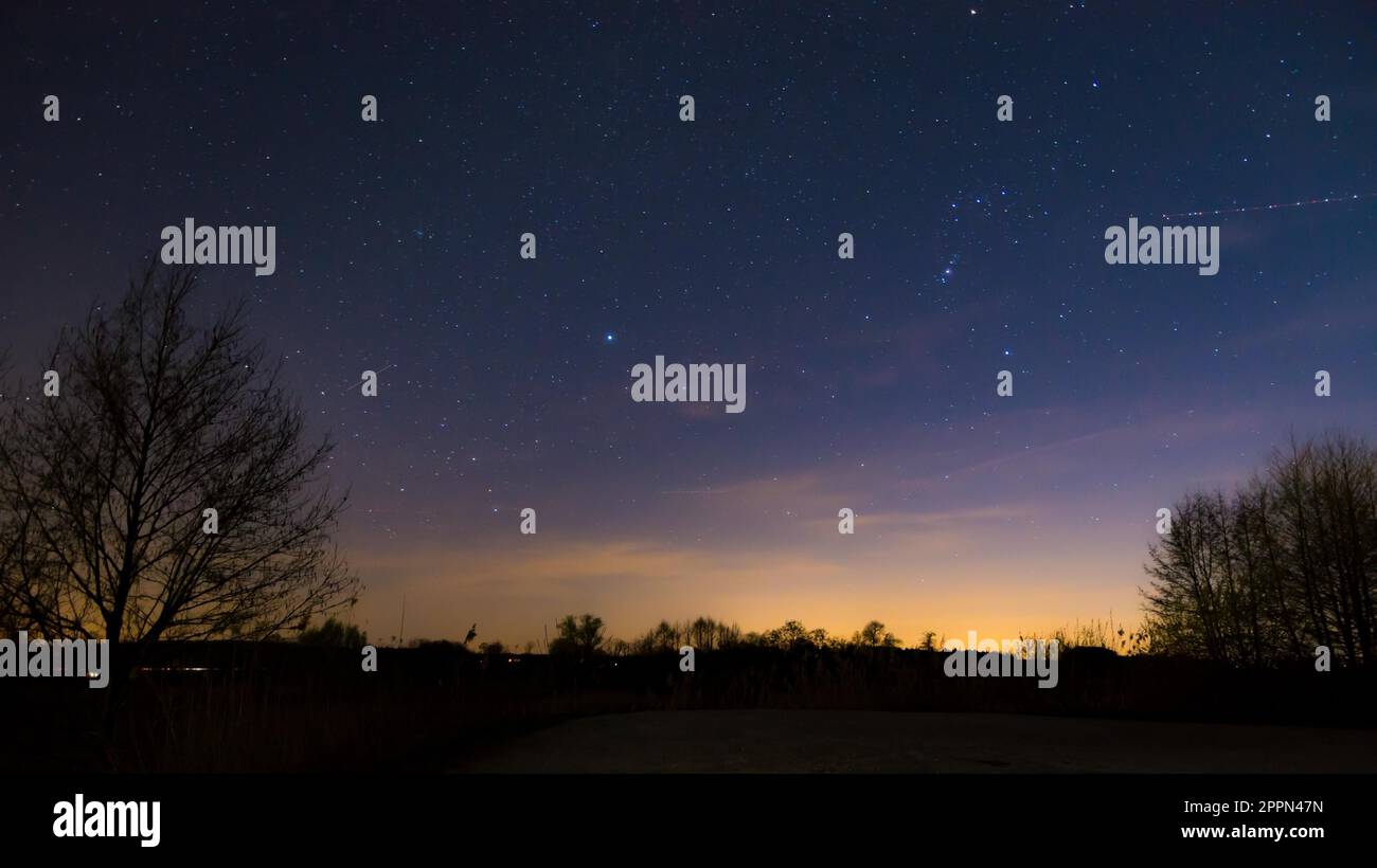 Scenic tree silhouette hi-res stock photography and images - Alamy