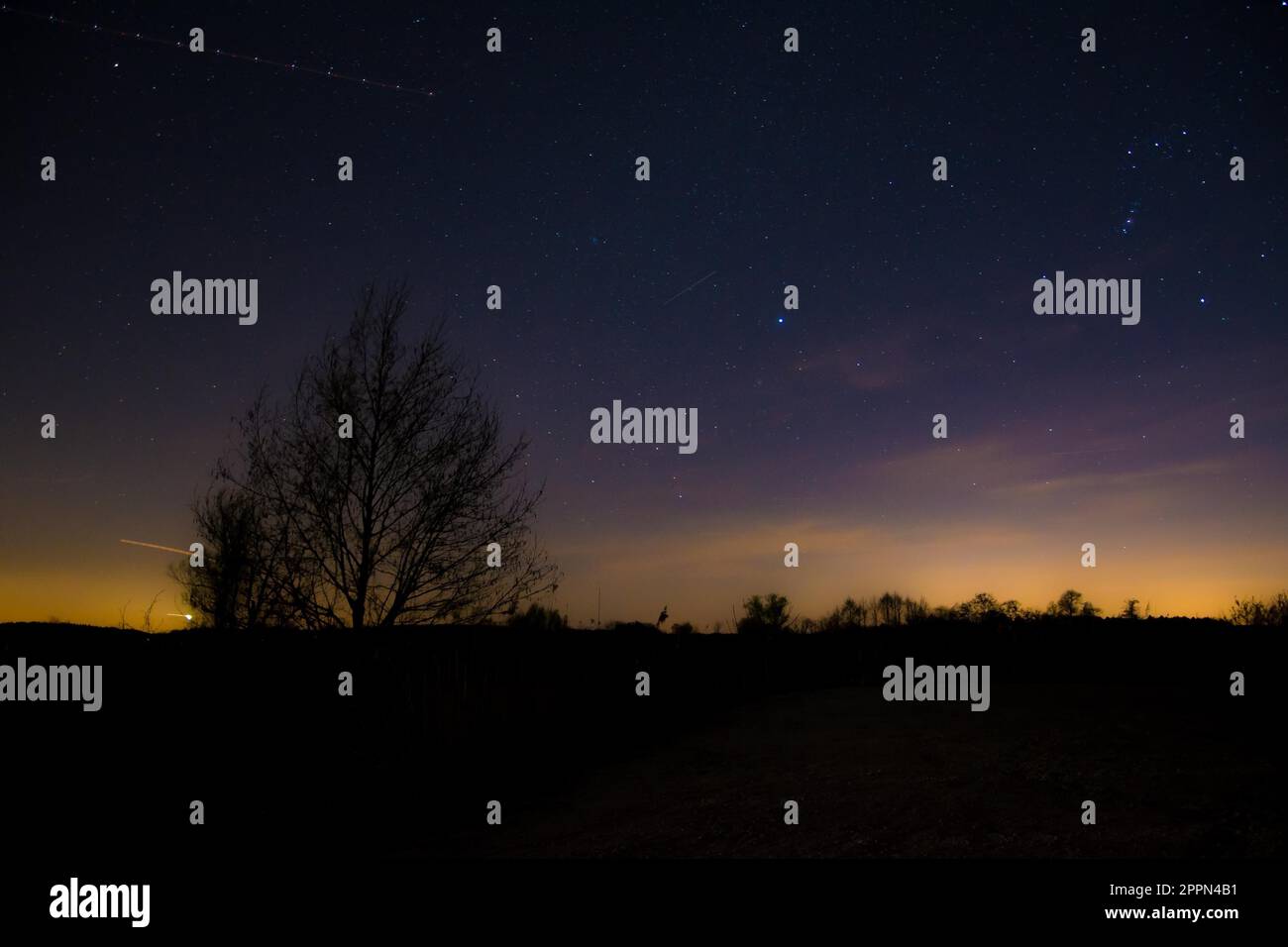 Scenic tree silhouette hi-res stock photography and images - Alamy