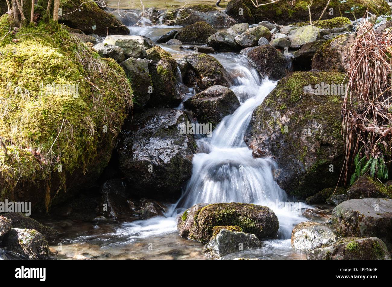 Around the UK - Tongue Gill, Borrowdale Valley, Lake District, UK Stock Photo