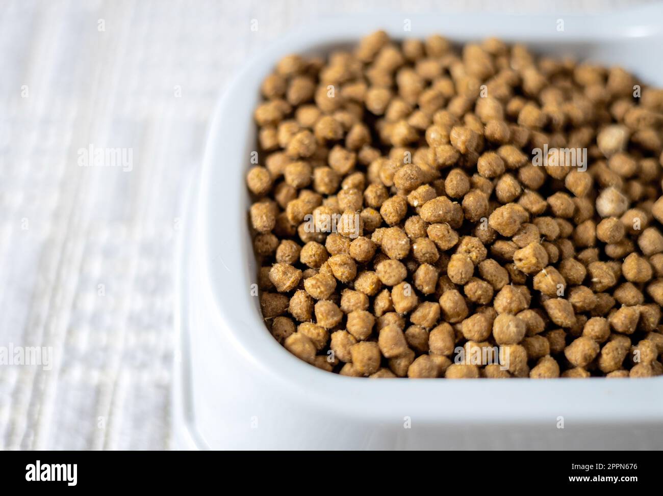 adorable kitty tabby cat eating dry food from bowl Stock Photo Alamy