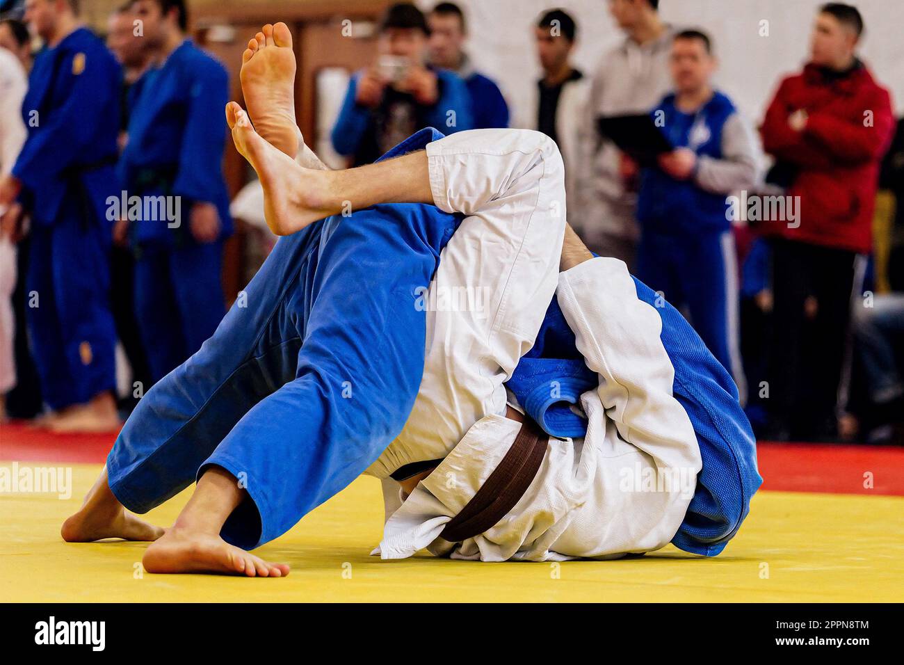 judoka in blue kimono put fighter in white kimono and brown belt on his