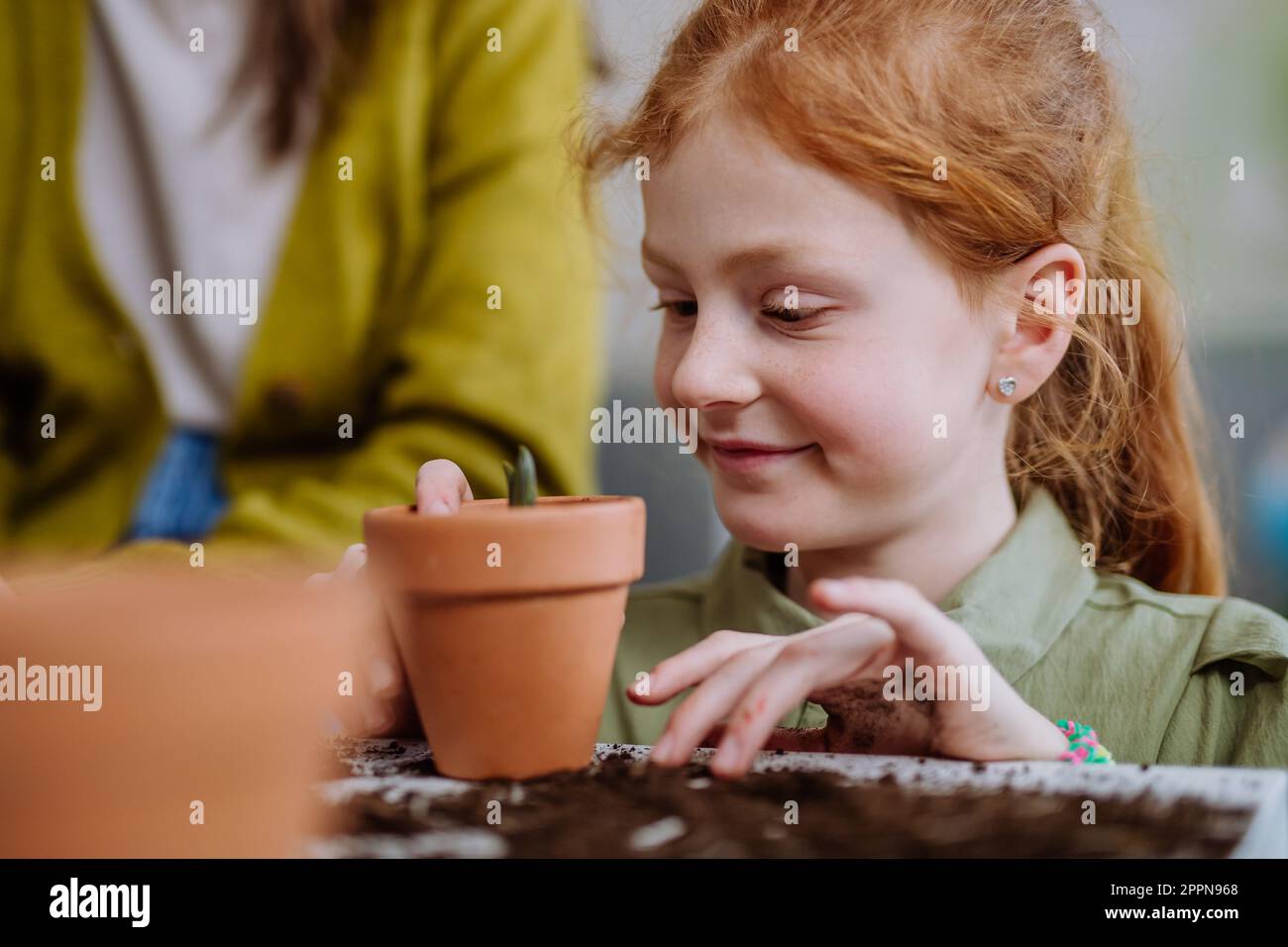 Happy little girl looking at growing plant in a pot Stock Photo - Alamy
