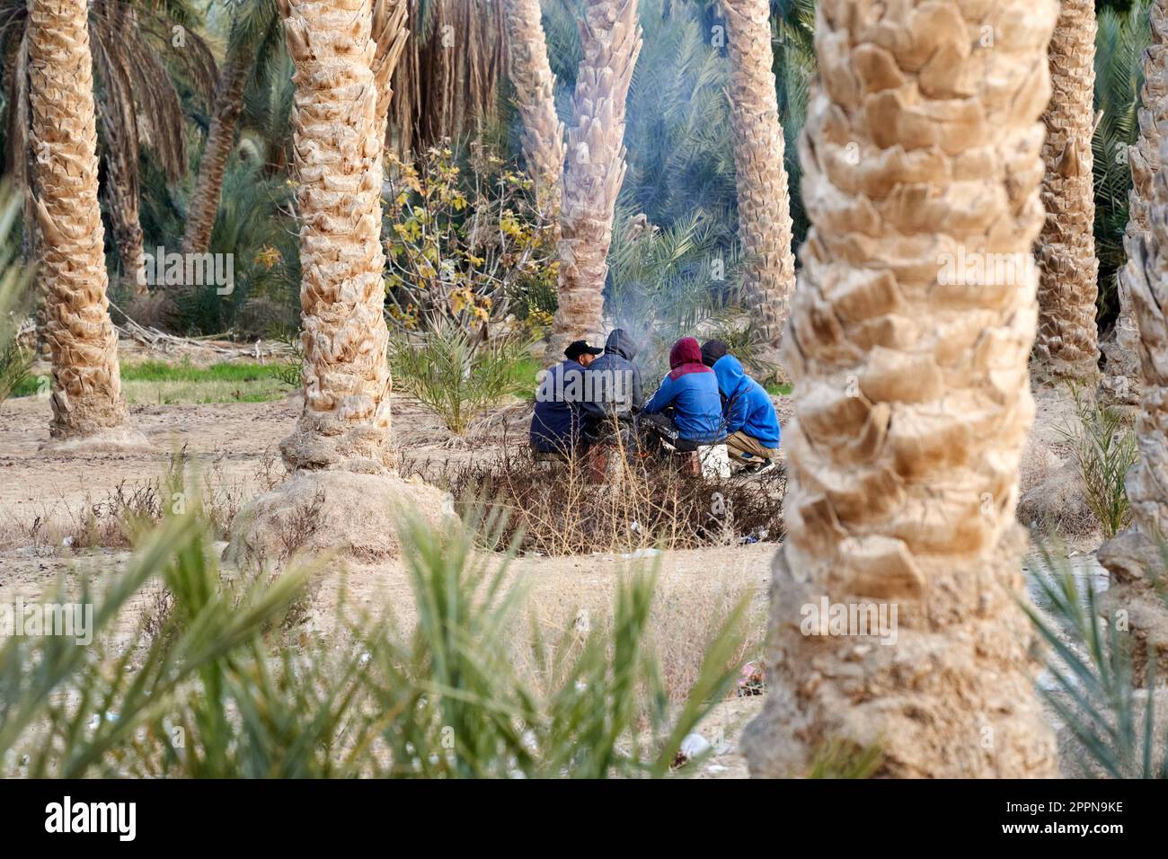 Douz, Tunisia, January 12, 2023: Farm workers warm up in the cold morning air by a fire among the palm trees of the date grove Stock Photo