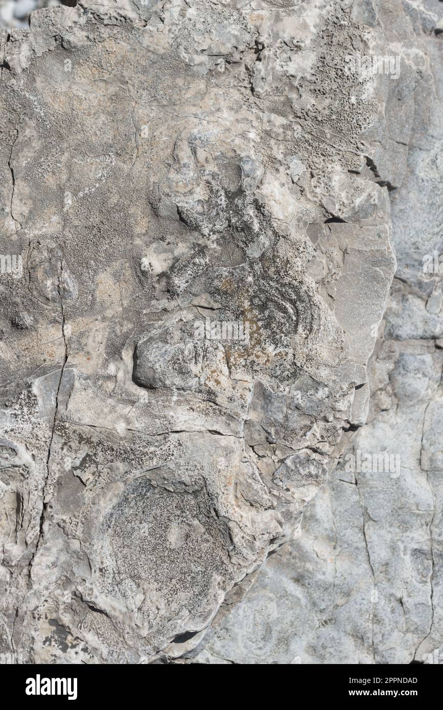 natural stone background Stock Photo - Alamy