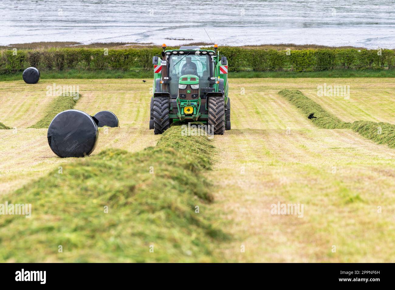 Timoleague, West Cork, Ireland. 24th Apr, 2023. Richard Fleming of