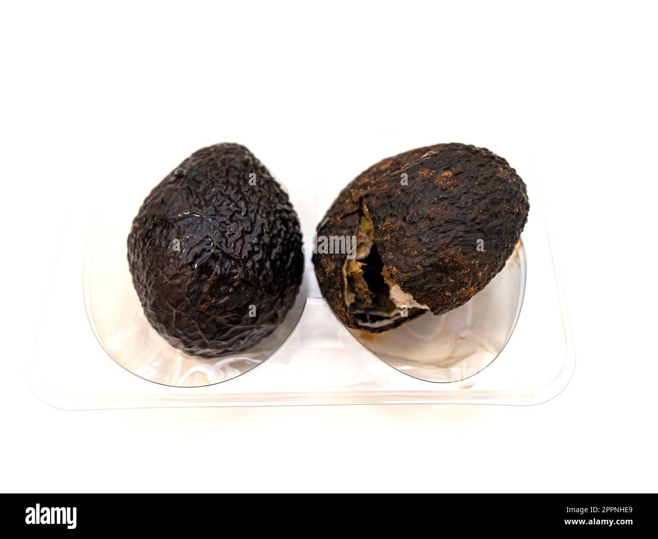 2 overripe avocados spoiled with mold and rot. 2 rotten avocados in a