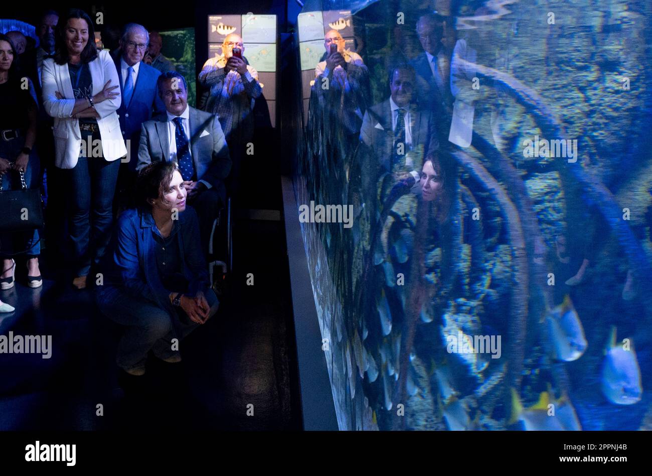 Gallery image with a fresh perspective