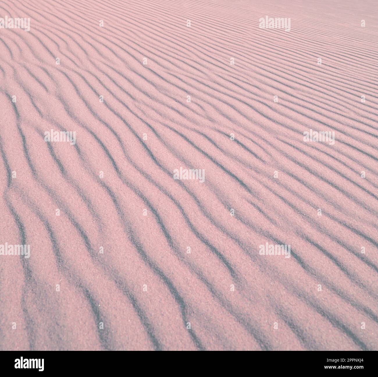 The Imperial Sand Dunes are the largest mass of sand dunes in the state