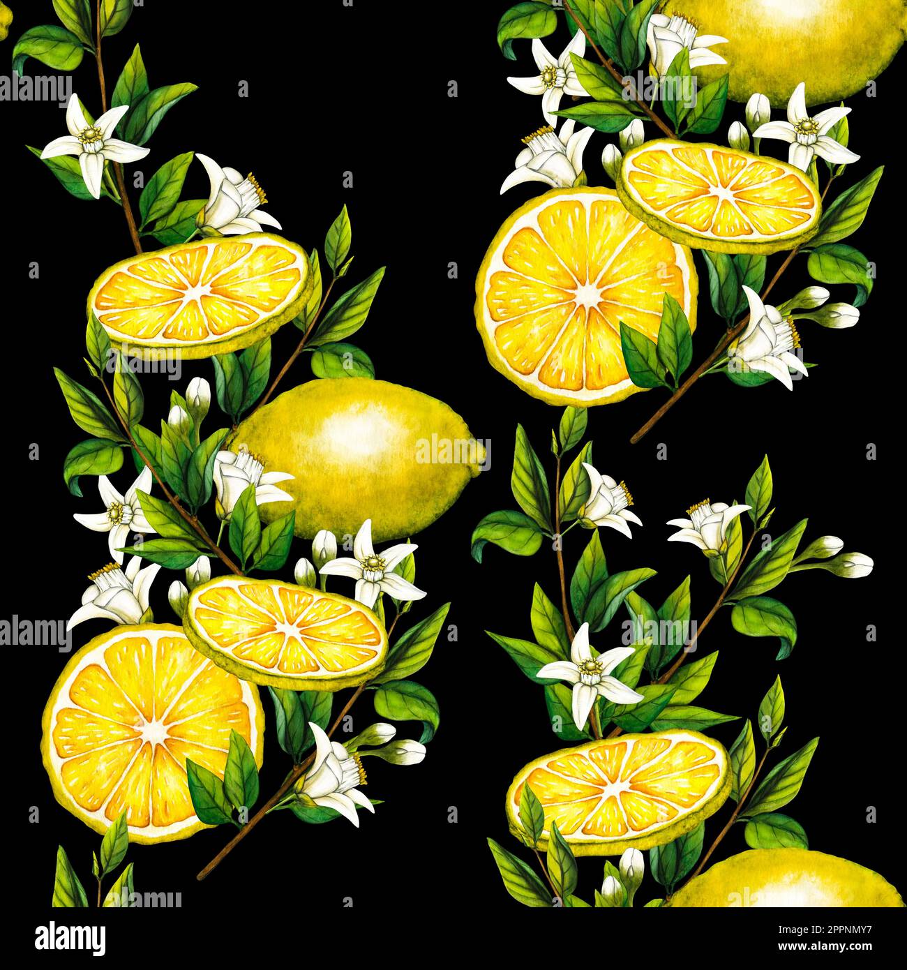 Watercolor seamless pattern with botanical illlustration of lemon tree ...