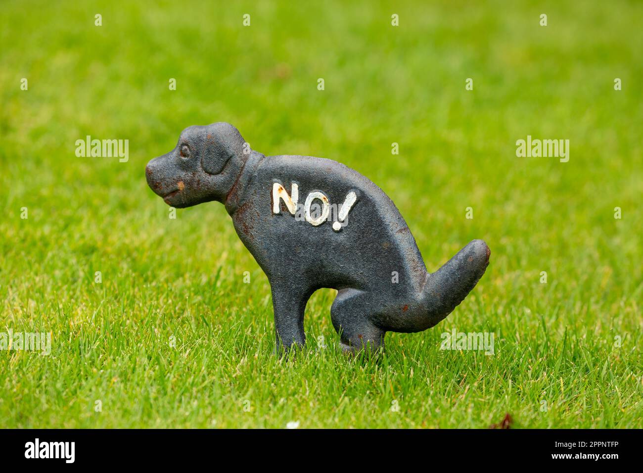 Dog Pooping Sign on Lawn Sign Stock Photo - Alamy