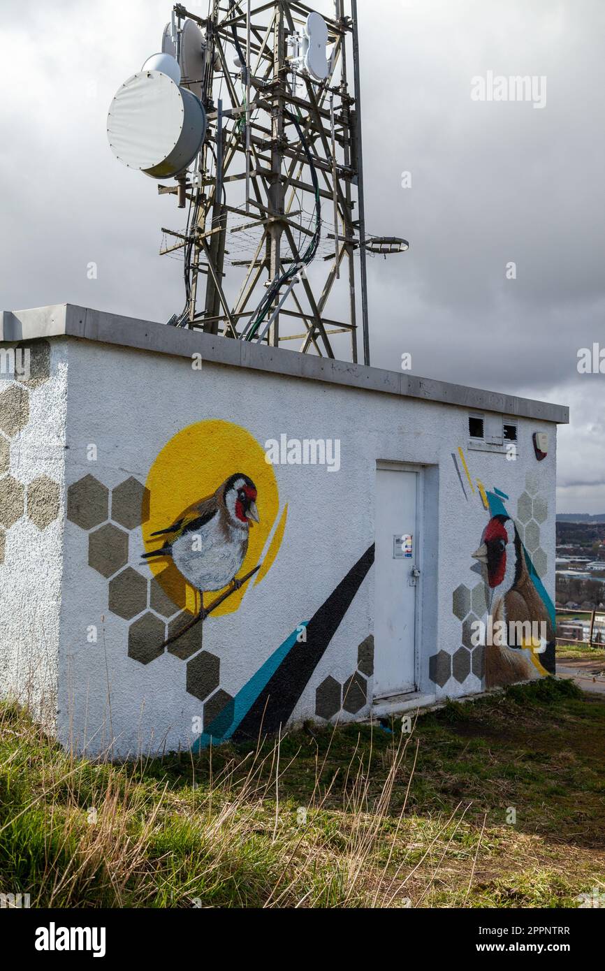 Birds and bees mural by Paco Graff, 2020 on utility building on top of Dundee Law Stock Photo