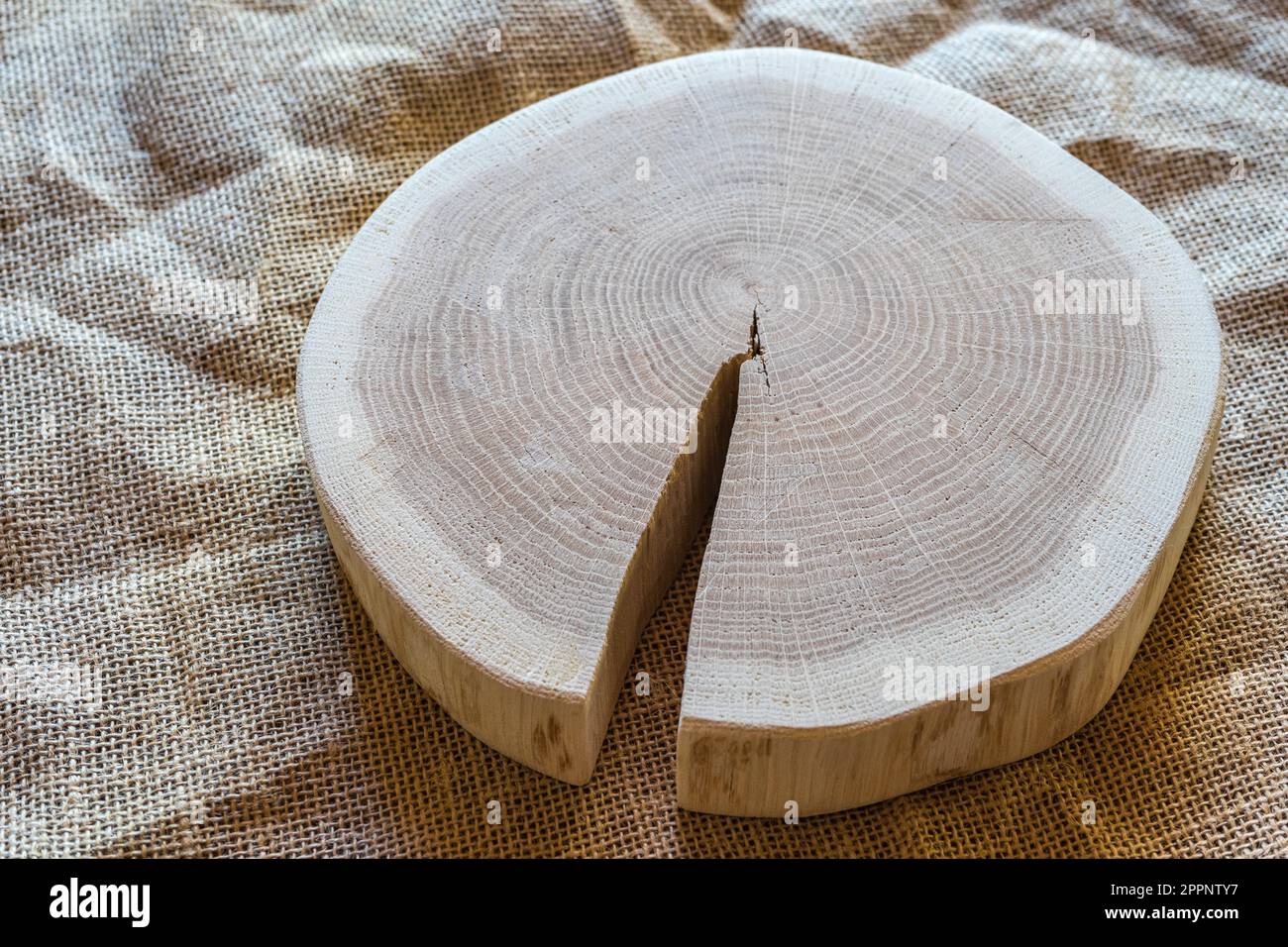 Wooden stump, cross section, cut wood tree trunk slice Stock Photo Alamy