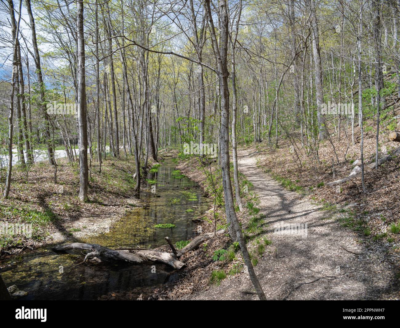 Lime Kiln Trail at Rockwoods Reservation Stock Photo Alamy