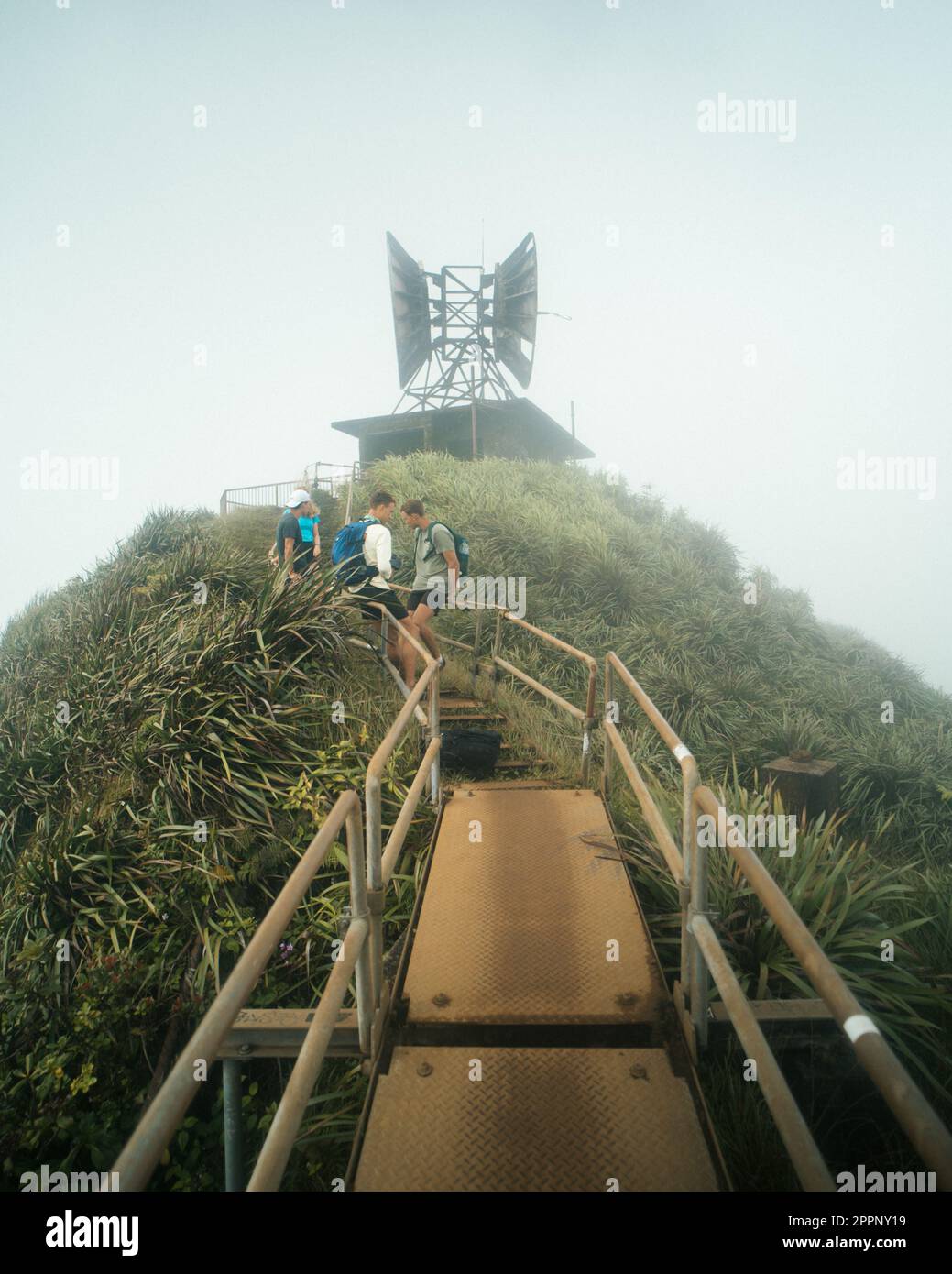 Man Hiking Stairway to Heaven (Haiku Stairs) on Oahu, Hawaii. High quality photo. Looking up the stairs. Stock Photo