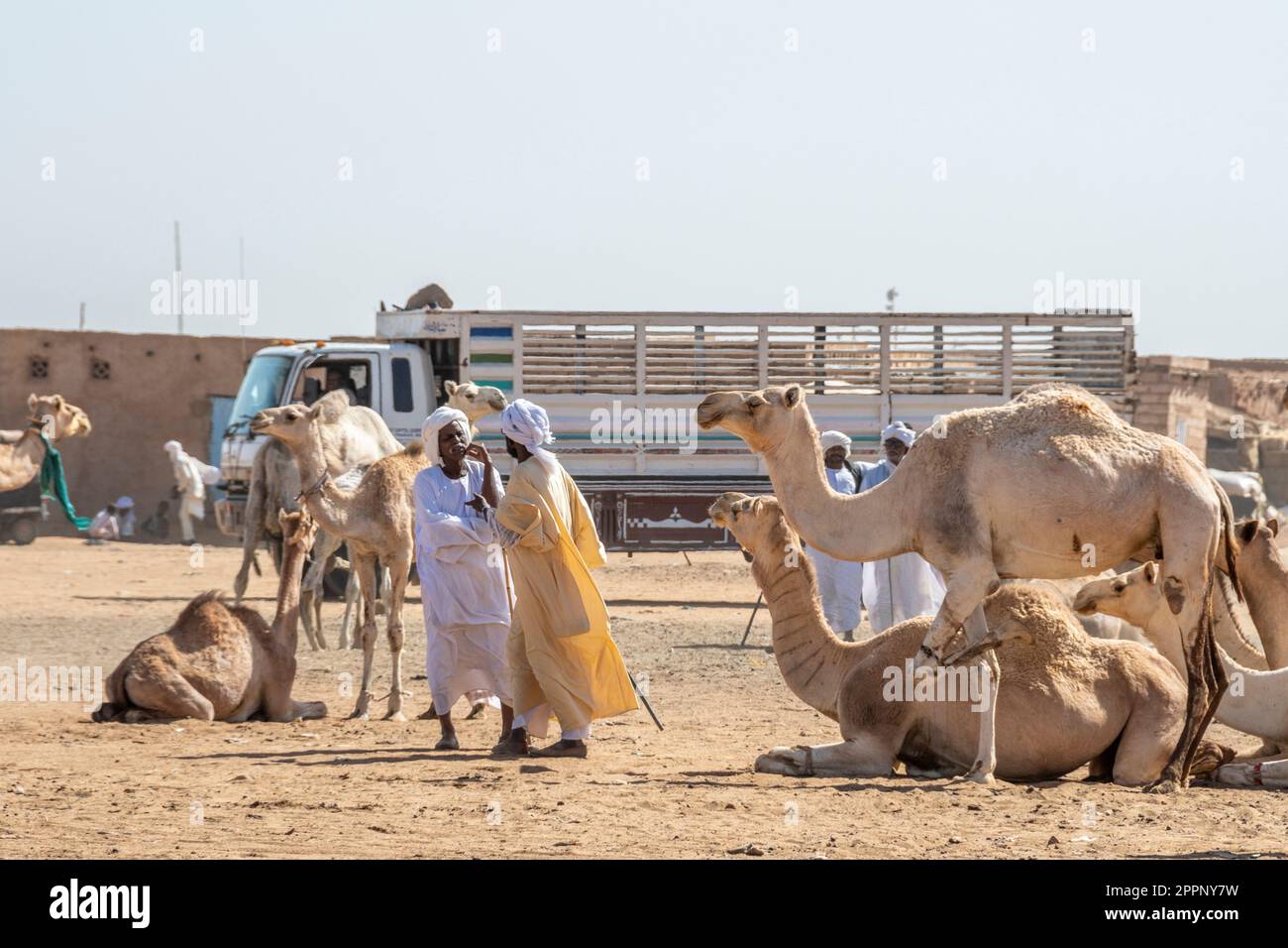 Men chat at the Al-Moheli Camel Market, Omurdaman, Sudan Stock Photo