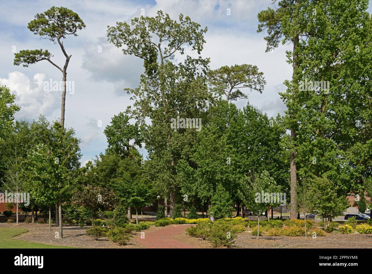 East Carolina University (ECU), public research university in