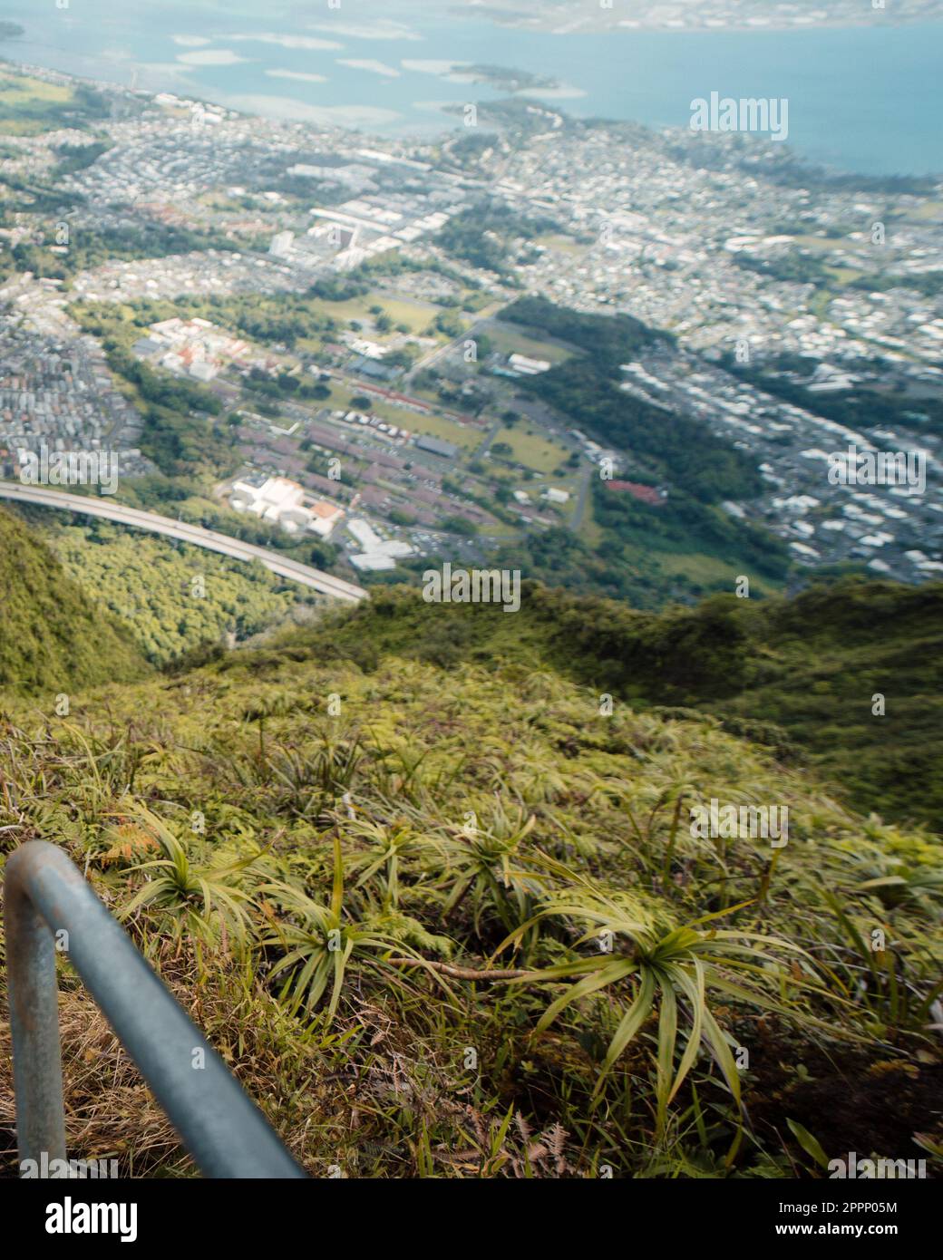 Man Hiking Stairway to Heaven (Haiku Stairs) on Oahu, Hawaii. High quality photo. Looking up the stairs. Stock Photo
