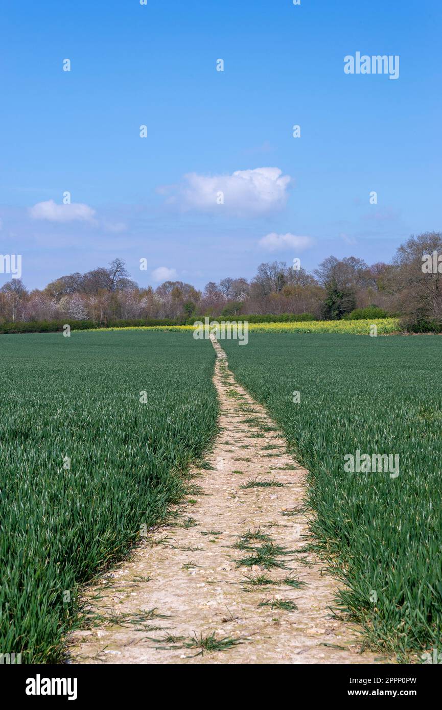 Roam the countryside hi-res stock photography and images - Alamy