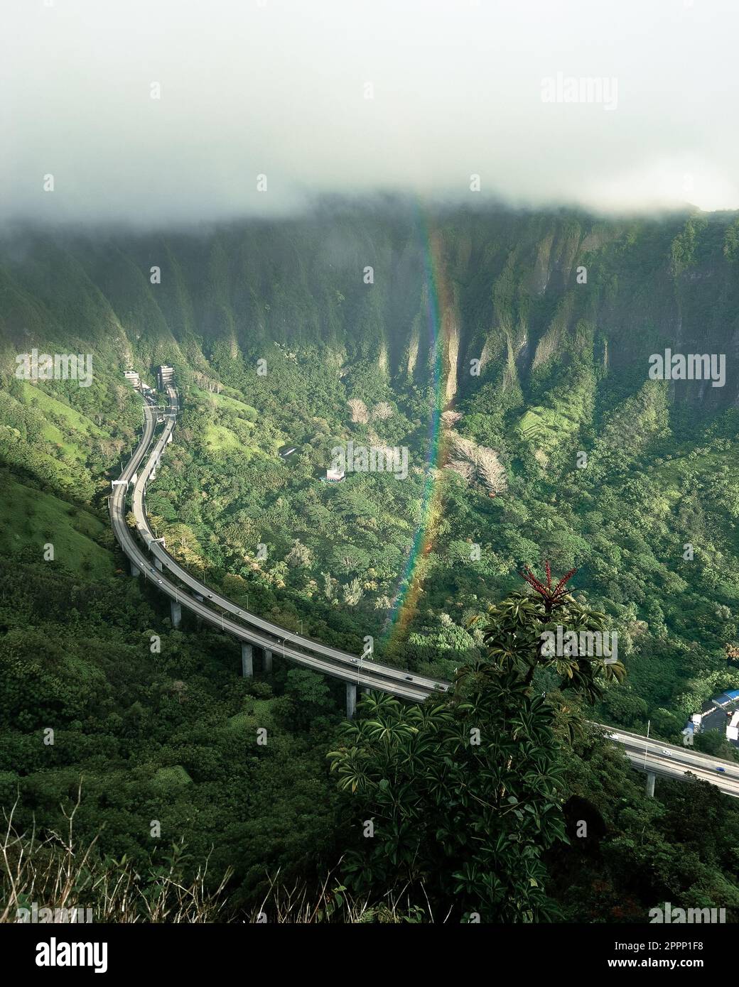 Man Hiking Stairway to Heaven (Haiku Stairs) on Oahu, Hawaii. High quality photo. Looking up the stairs. Stock Photo