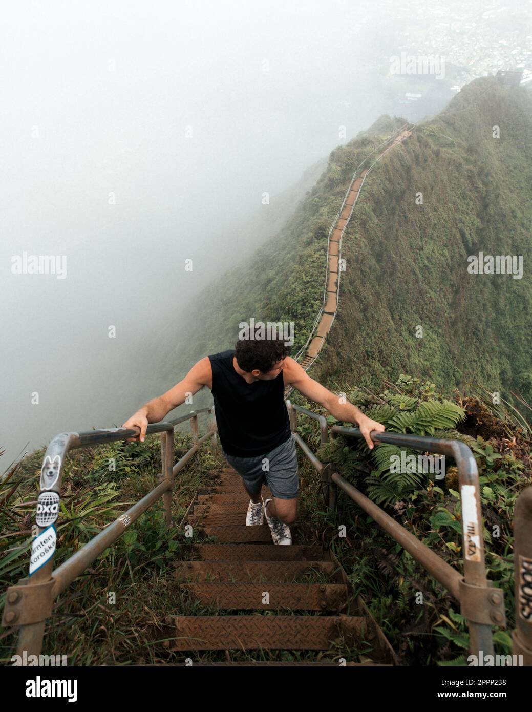 Man Hiking Stairway to Heaven (Haiku Stairs) on Oahu, Hawaii. High quality photo. Looking up the stairs. Stock Photo