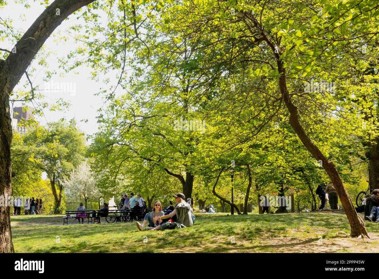 Springtime Central Park is a beautiful urban oasis in New York City, USA Stock Photo