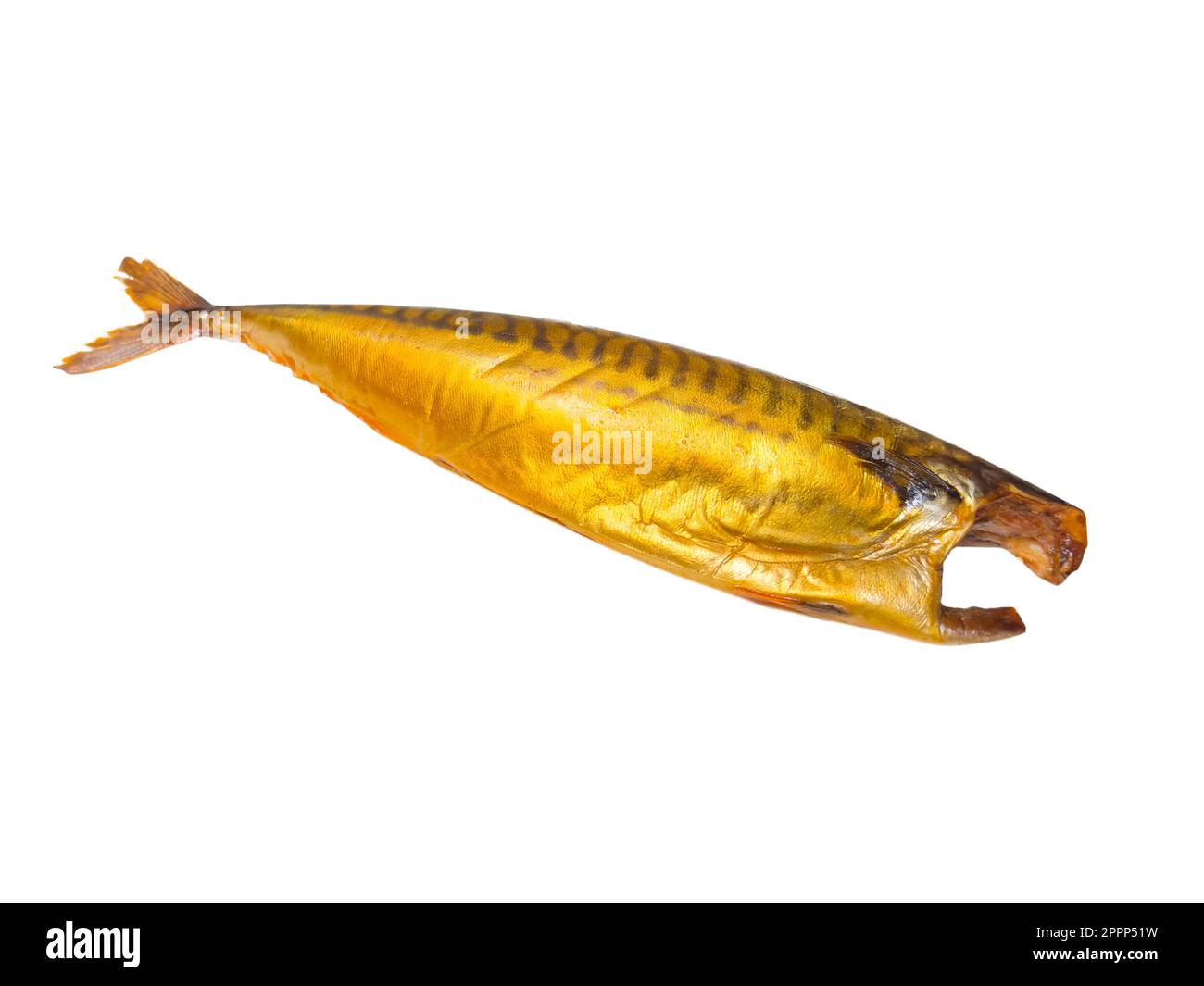 Hot smoked mackerel fish isolated on white background. Smoked fish
