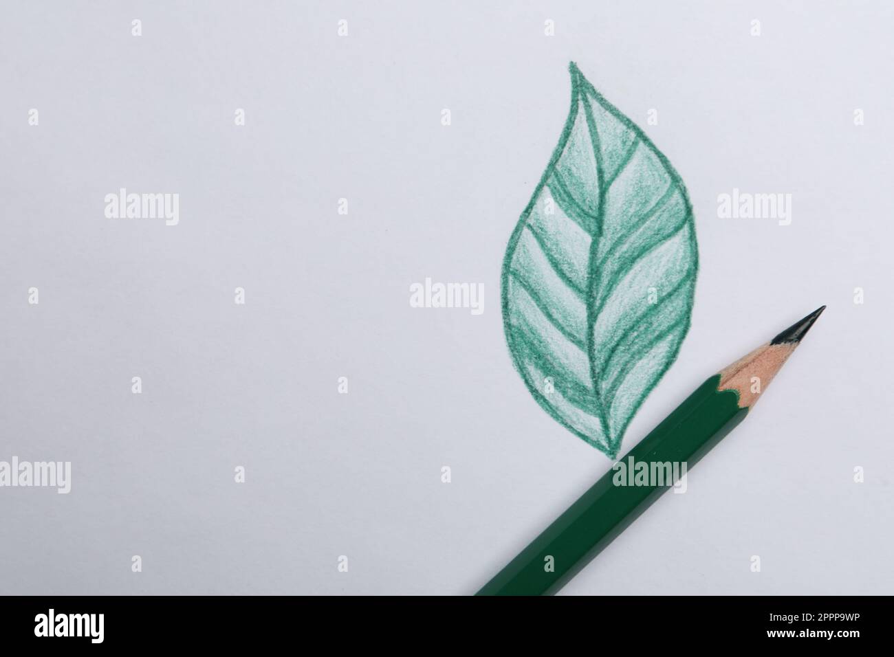 Snake hand drawing by watercolor. Cute snake of green color. Stock  Illustration | Adobe Stock