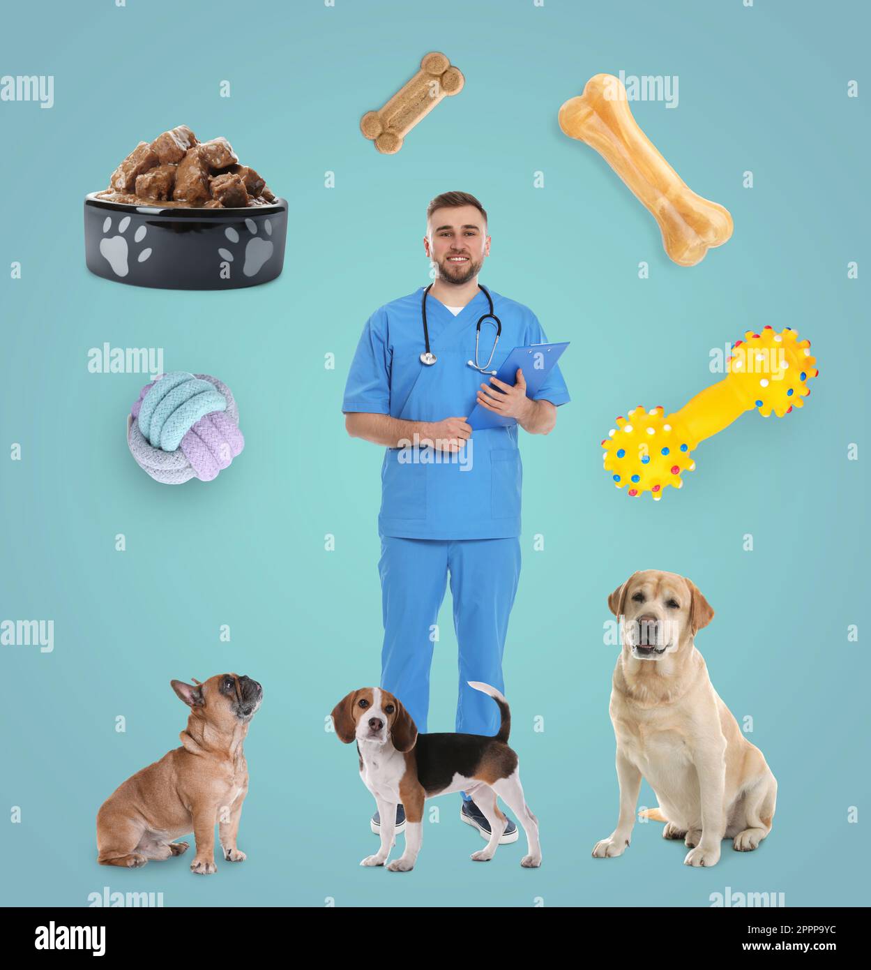 Collage with photos of veterinarian doc, pets, food and toys on light