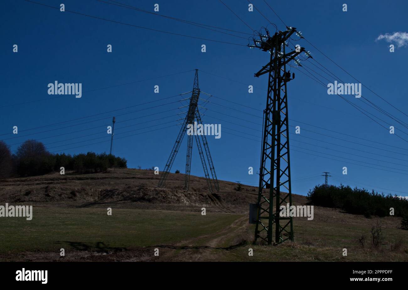 Springtime forest with glade, General electric power transmission line