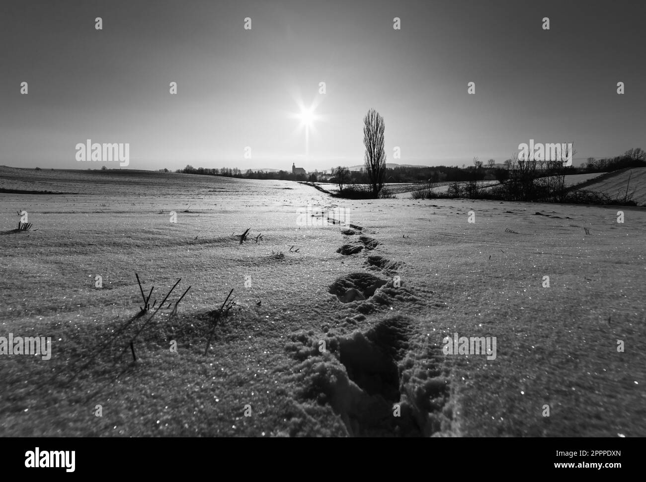 footprints in the snow leading to the village Stock Photo