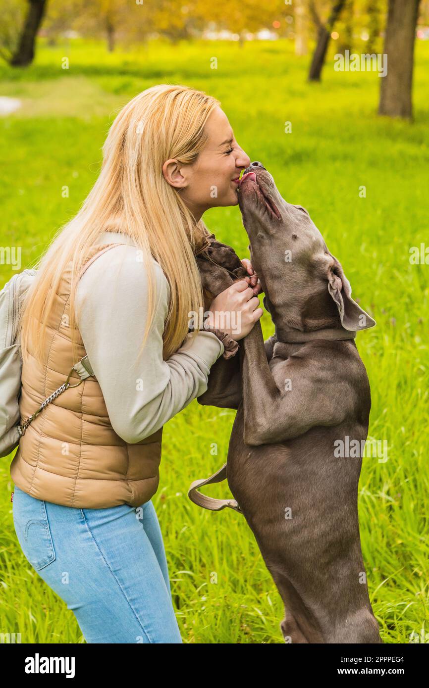Scene Of Happiness Between Mistress And Dog In The Park Girl Getting 