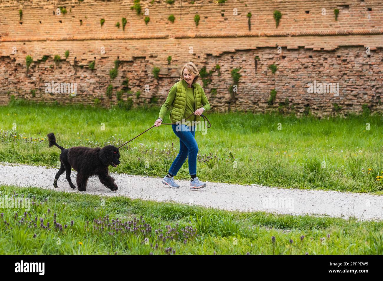 Mature lady jogging with her dog. Senior running in park holding dog on