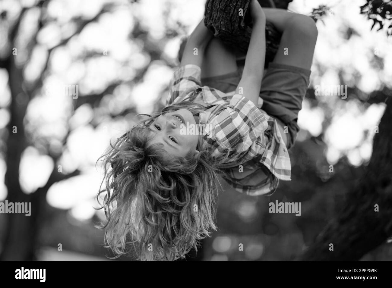 Cute child learning to climb, having fun in summer park. Kids climbing trees, hanging upside down on a tree in a park. Upside down. Childhood concept. Stock Photo