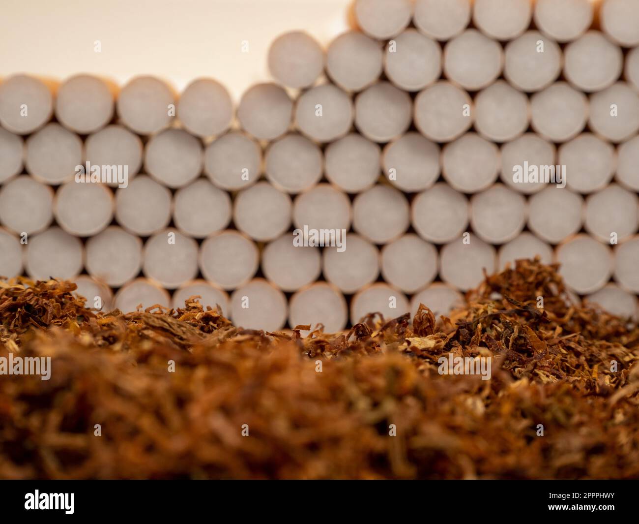 Tobacco and cigarette cases. Cigarettes and tobacco. Tobacco close-up. Stock Photo