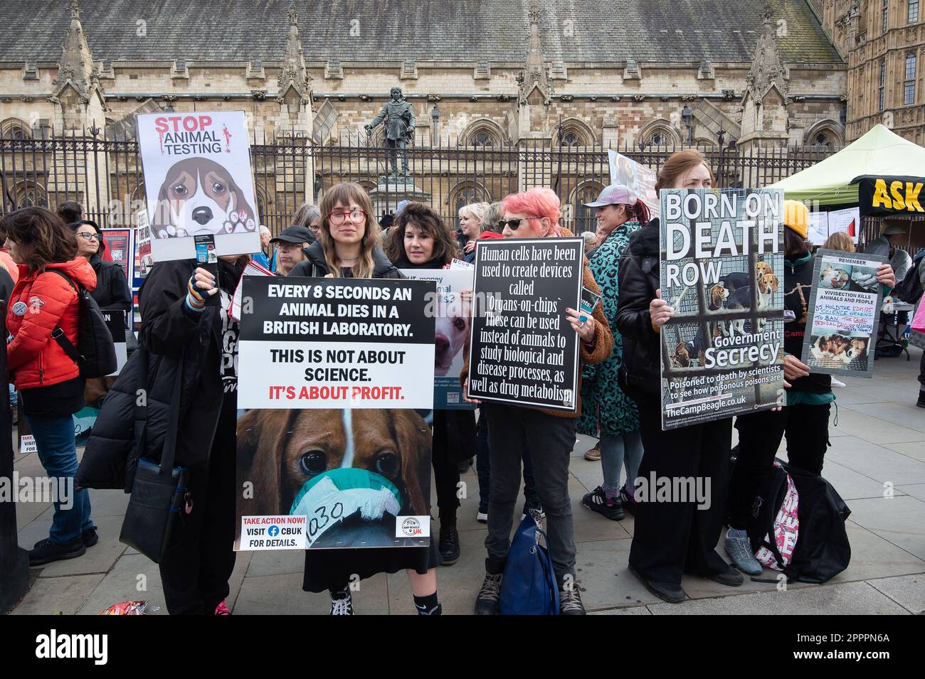 London, UK. 24th April, 2023. Animal Rights protesters outside Parliament. Legal action is being taken by MBR Acres in Wyton, Cambridgeshire to try to stop protesters at MBR where beagles are bred for medical research. Credit: Maureen McLean/Alamy Live News Stock Photo