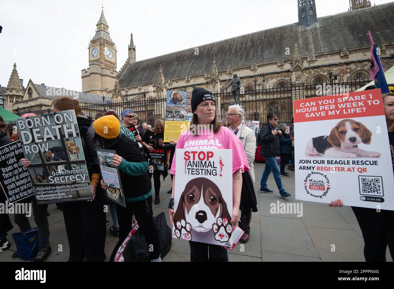 London, UK. 24th April, 2023. Animal Rights protesters outside Parliament. Legal action is being taken by MBR Acres in Wyton, Cambridgeshire to try to stop protesters at MBR where beagles are bred for medical research. Credit: Maureen McLean/Alamy Live News Stock Photo