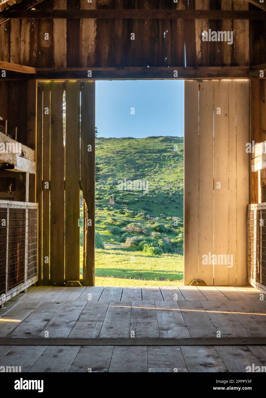 View of green landscape from inside doorway of rustic barn Stock Photo