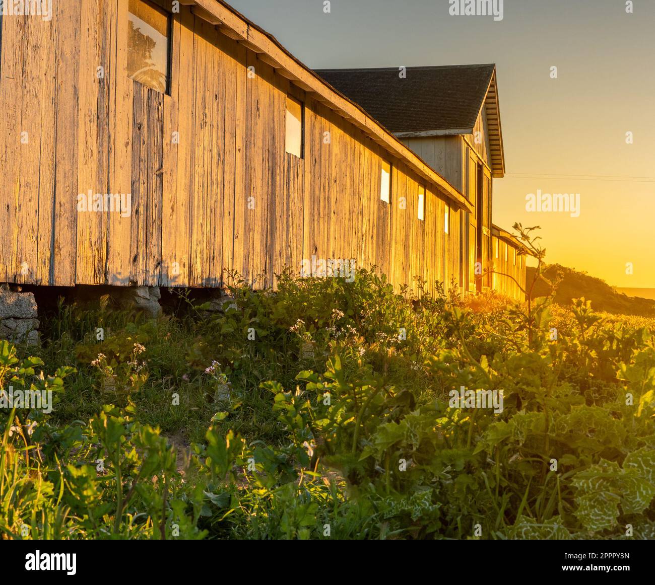 Morning sunshine over historic barn at Pierce Point Ranch at Port Reyes California Stock Photo