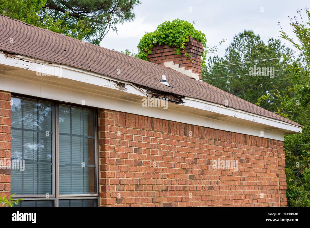 Roof and Fascia board damaged from water and neglect Stock Photo