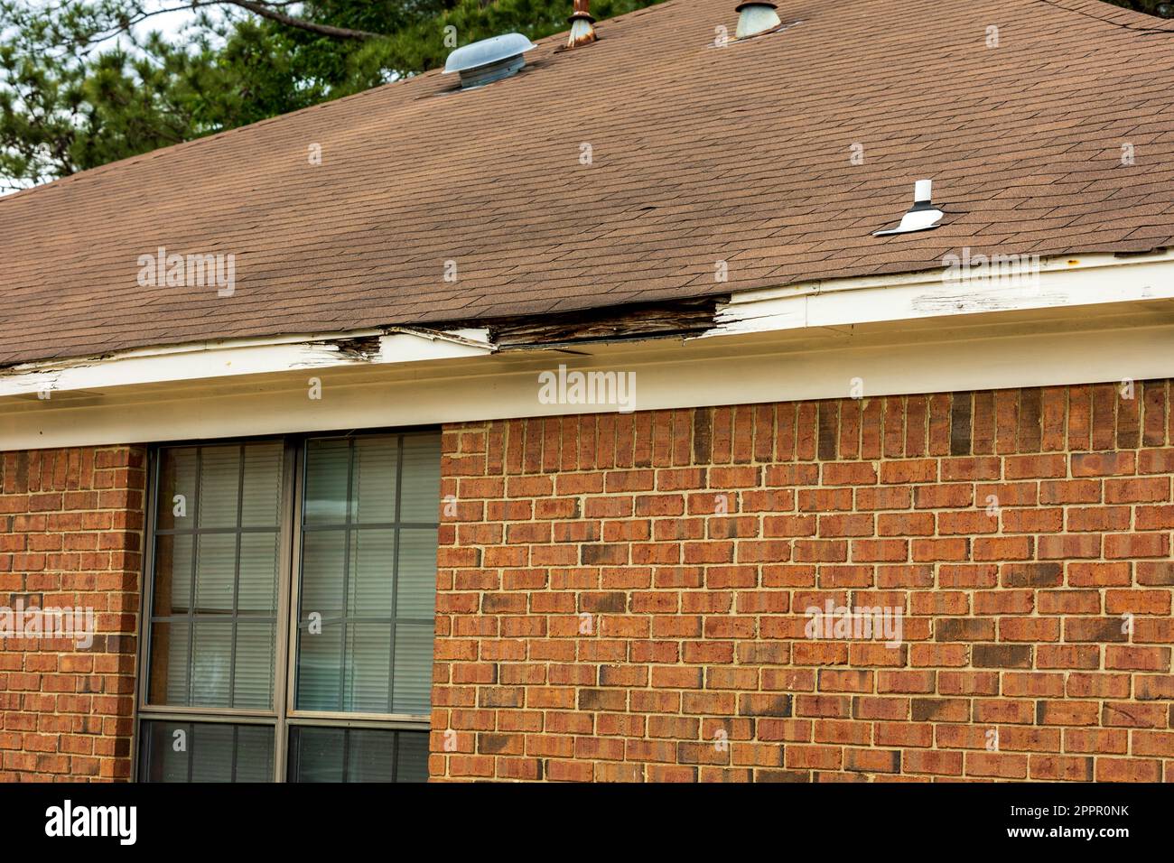 Fascia board and roof damaged from lack of maintenance Stock Photo Alamy