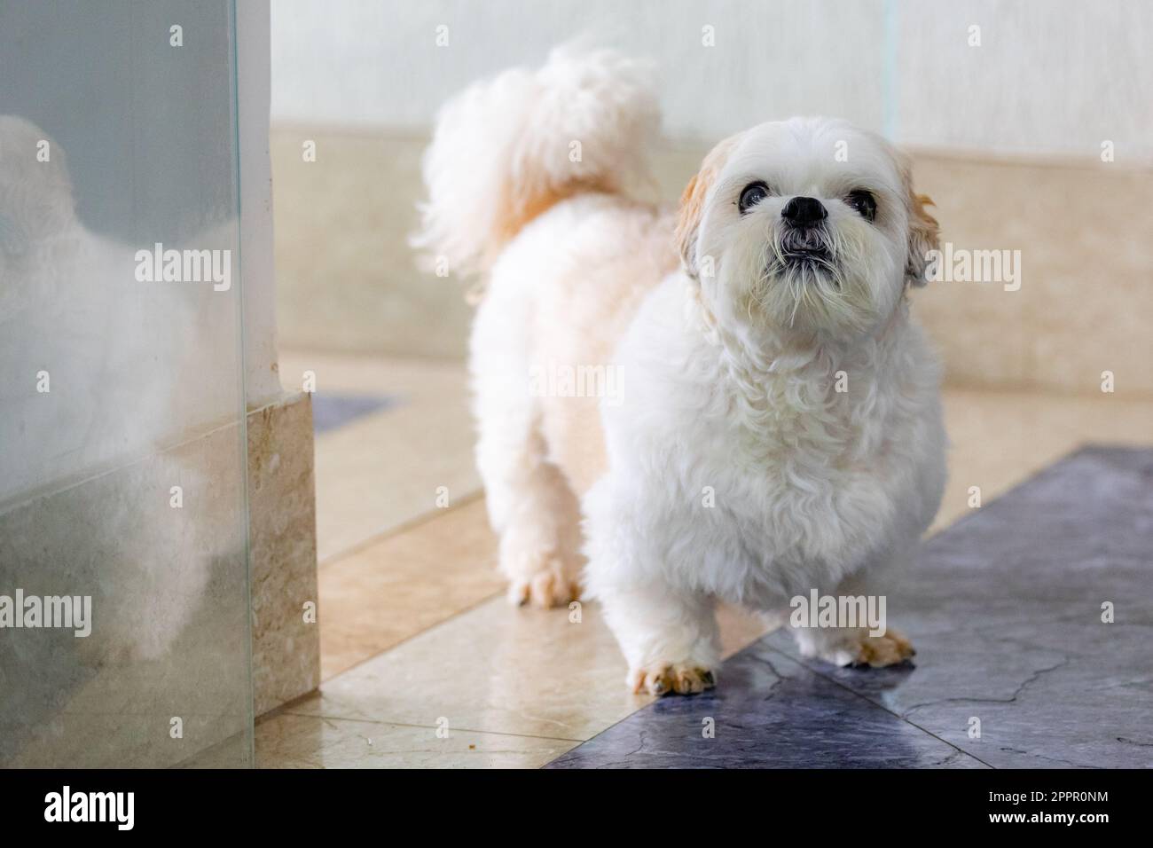 Gallery image with a fresh perspective