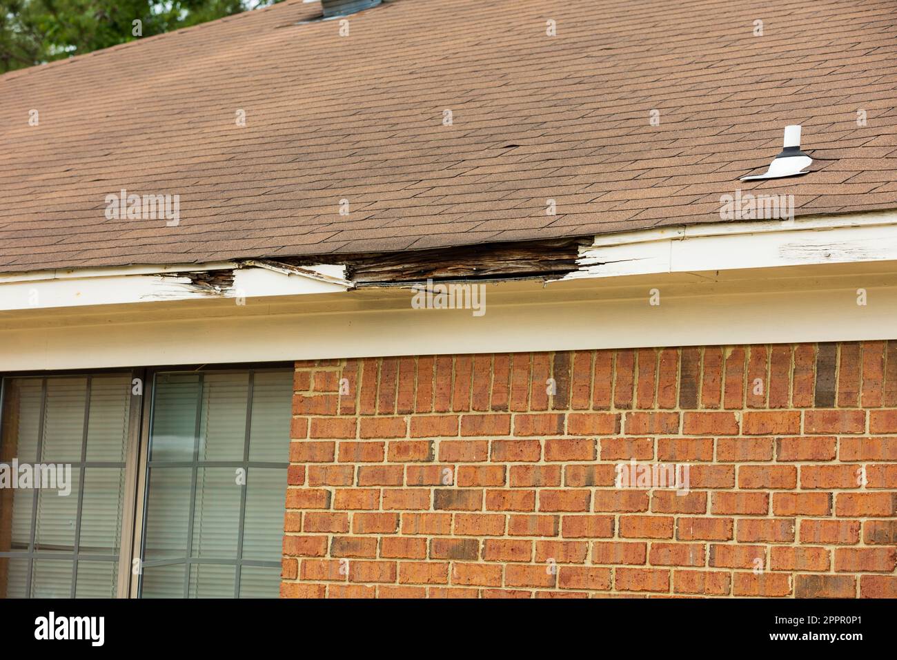 Fascia board and roof damaged from lack of maintenance. Stock Photo